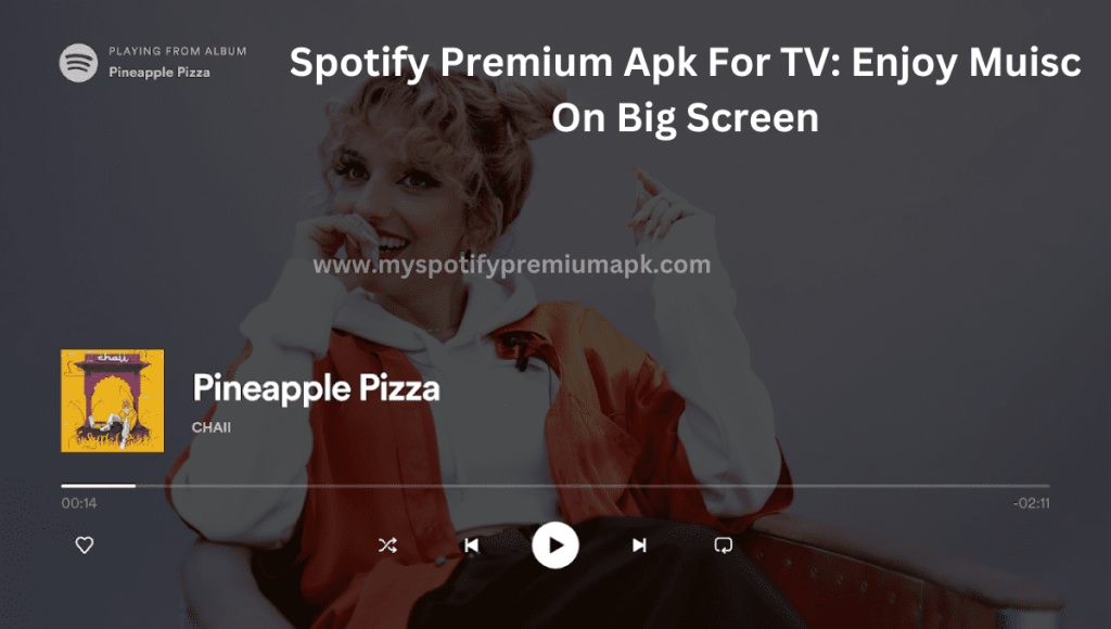 Spotify TV Apk